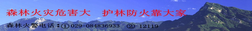 森林防火